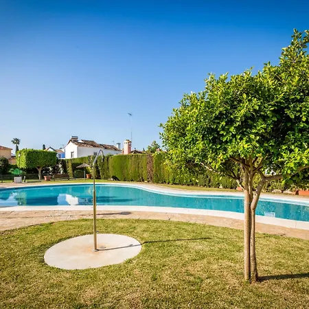 Apartment 200m From The San Pedro *